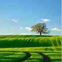 免​费‍外‌链﻿建﻿设‍工‍具​